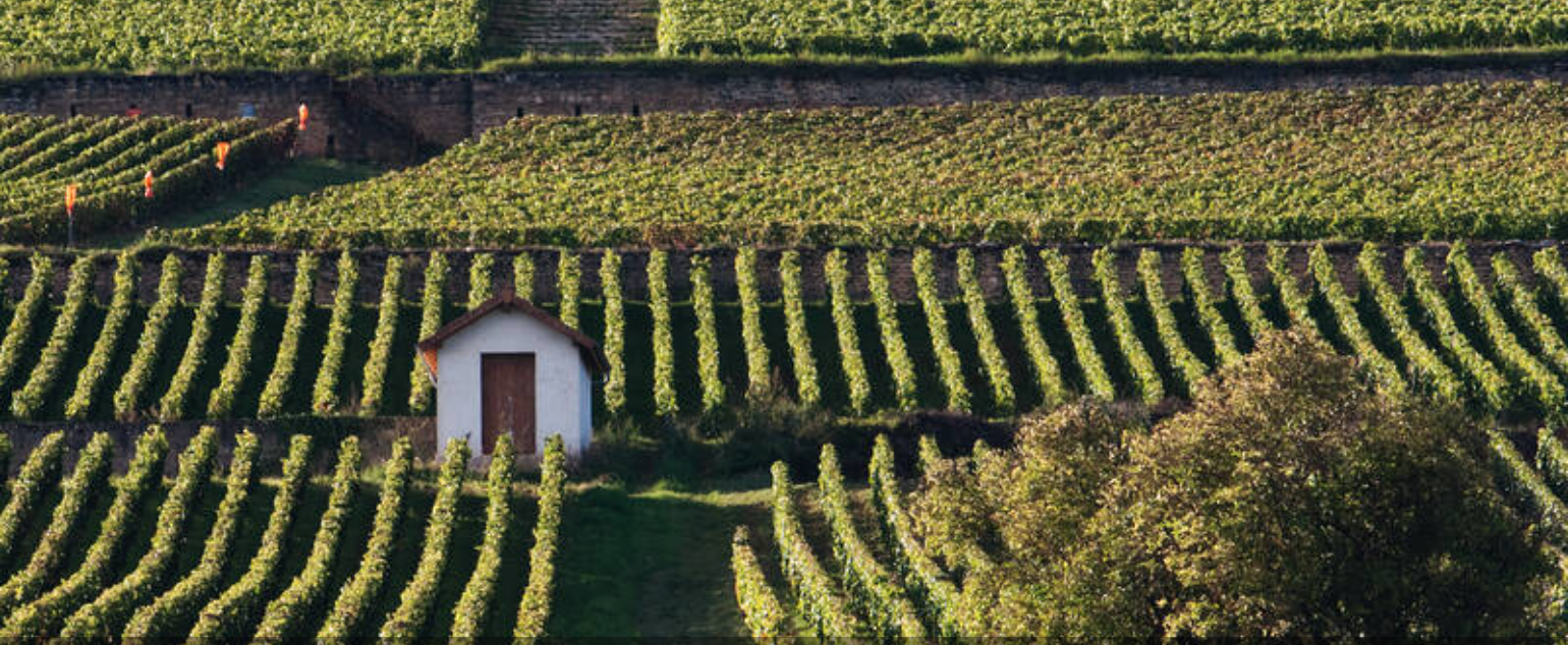 Vinmiddag - tema äldre viner från Bourogne