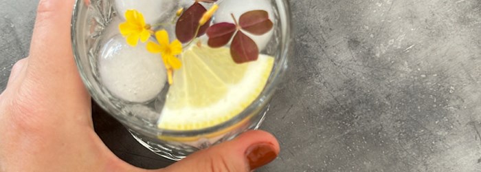 foodfolder_gin-tonic.jpeg