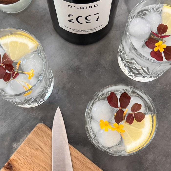 Alkoholfri gin tonic Alkoholfri gin tonic