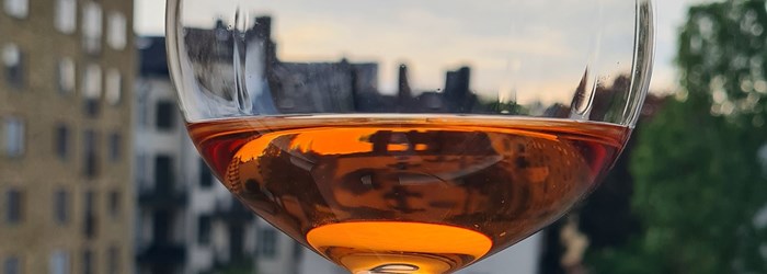 20220521_195428_2.jpg