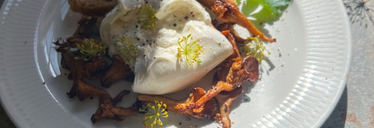 foodfolder_burrata_kantareller_.jpeg