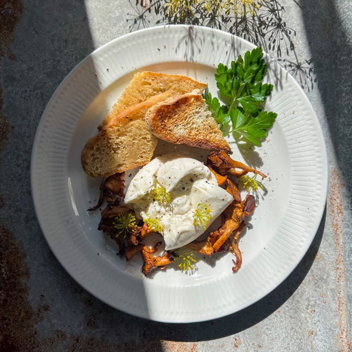 Kantareller med burrata och krondill Kantareller med burrata och krondill