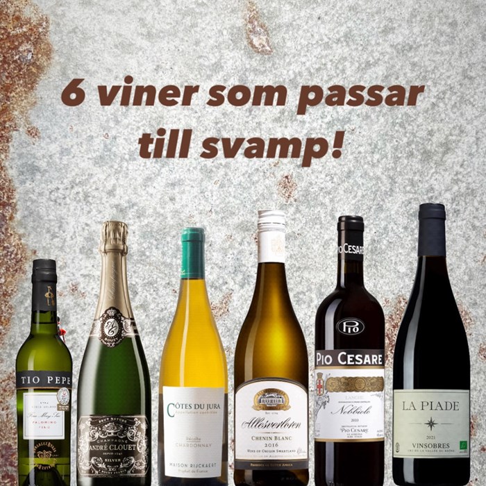 Vin till svamp Vin till svamp